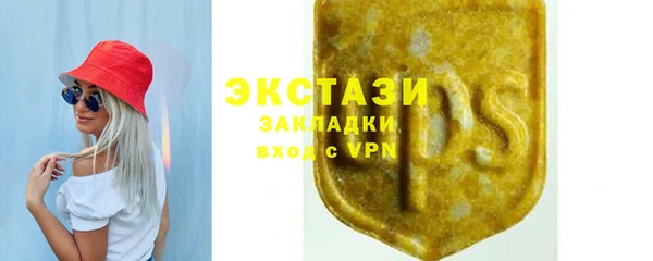 ECSTASY Алзамай