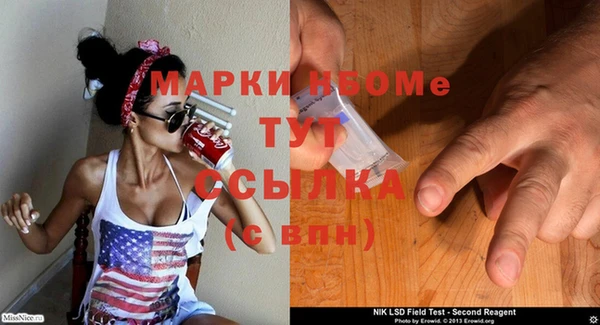 ECSTASY Алзамай