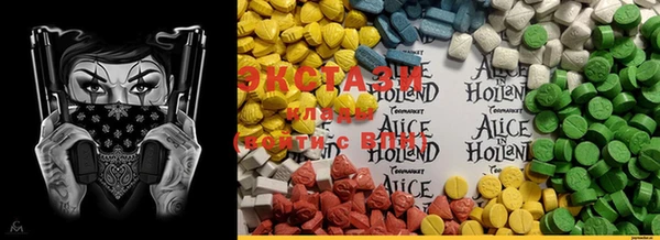 ECSTASY Алзамай