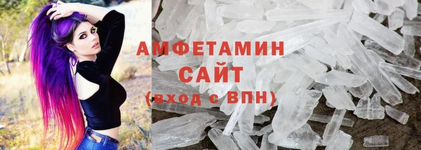 ECSTASY Алзамай