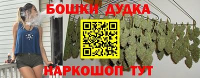 твердый Новозыбков