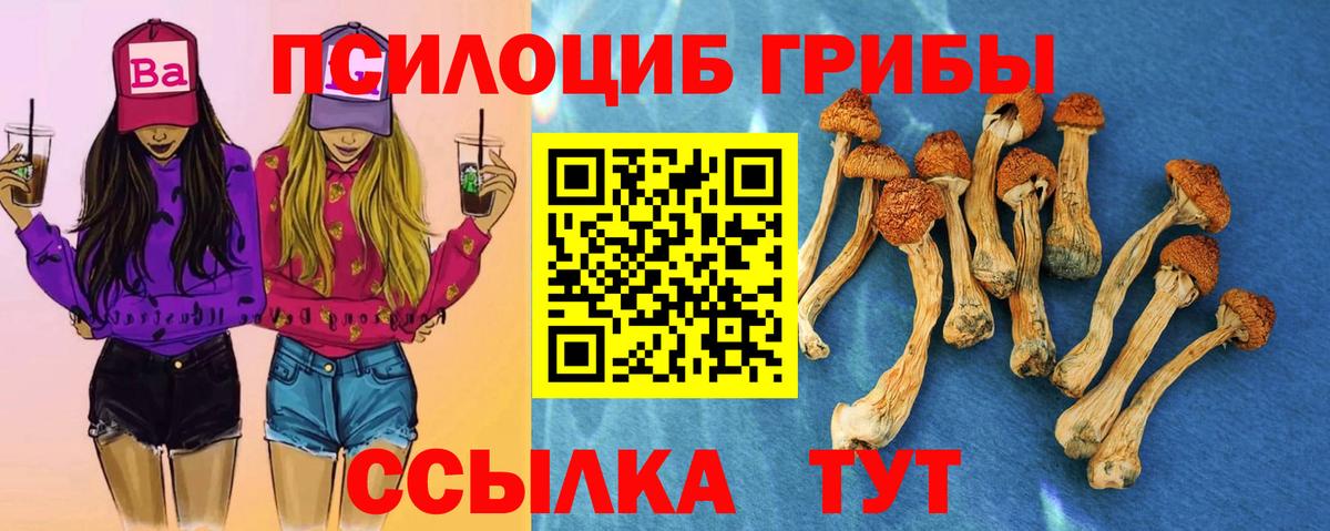 Ступино  Галлюциногенные грибы GOLDEN TEACHER  Вход с VPN 